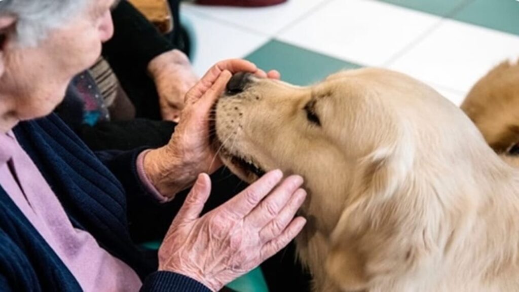 Pet therapy per il benessere emotivo