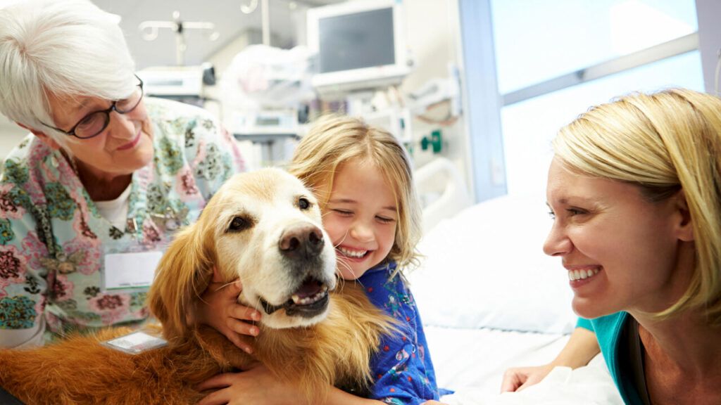 Pet therapy con cane in ospedale