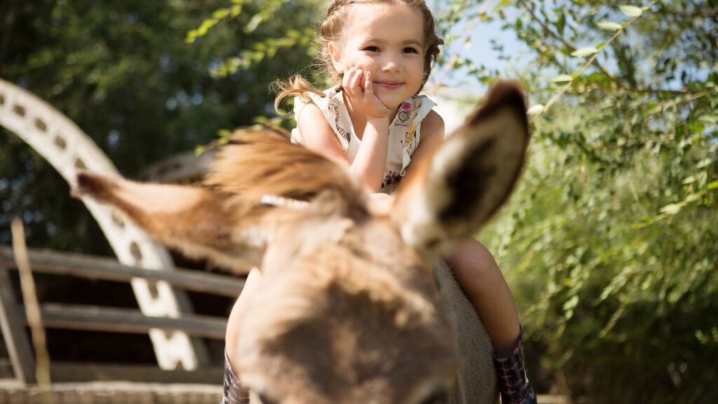Terapia per bambini con il coniglio