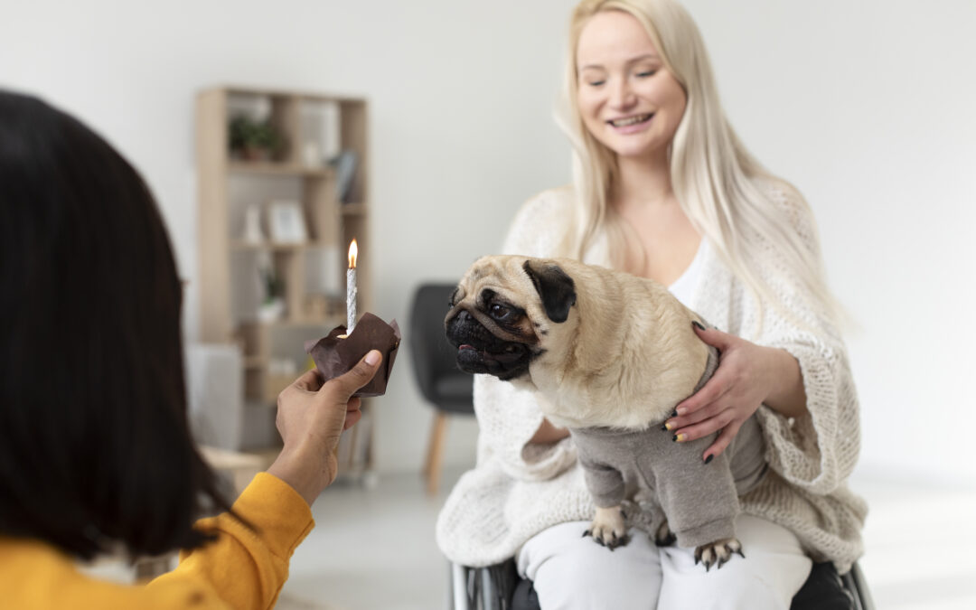 la pet therapy come soluzione al benessere psichico ed emotivo